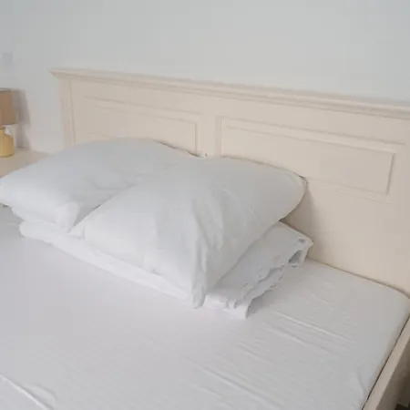 Gasthuis Pensiunea Dolosman