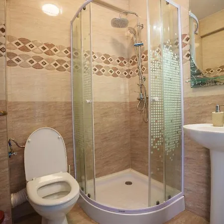 Pensiunea Dolosman Gasthuis 4*