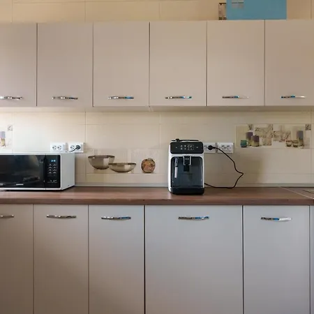 Pensiunea Dolosman Vendégház